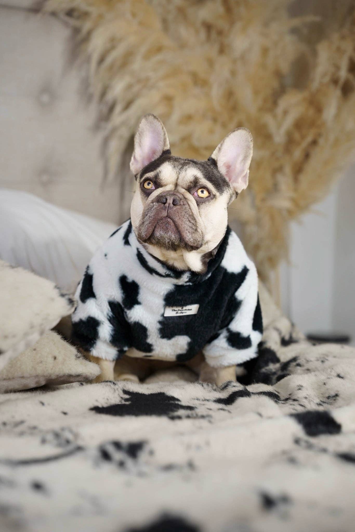 The Paw Print Boutique - Wholesale Pet Coat - Dog - The Cow Print Fluffy & Fabulous Fleece13