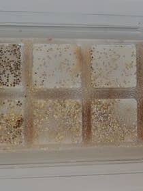 Ready To Go Wax Melt Bars 10 Cell for wholesale by Toddi Calon ♡