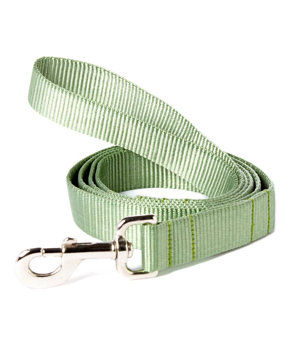 Mimi Green - Wholesale Pet Leash - Dog - Nylon Webbing Dog Leash (23 colors!)11