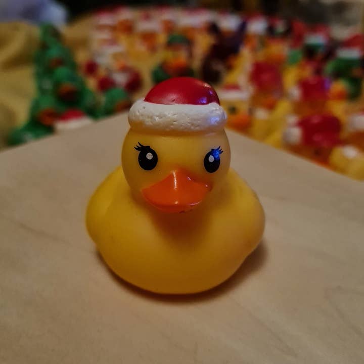 Dukki Gifts - Wholesale Bath toy – Baby - Christmas Character Rubber Ducks1