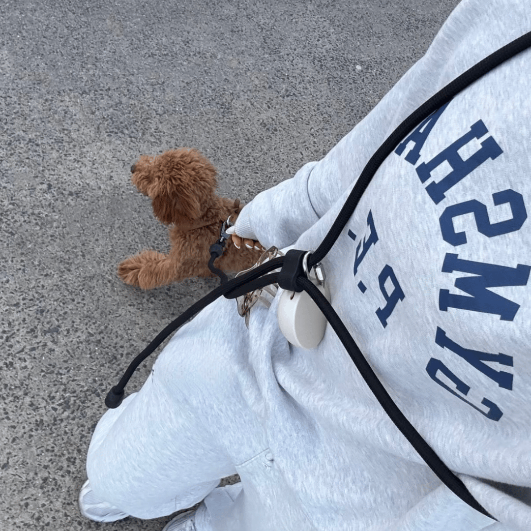 ST ARGO - Wholesale Pet Leash - Dog - HANDS FREE LEAD - Black3