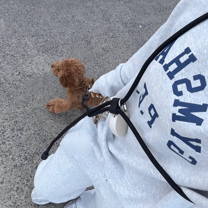 ST ARGO - Wholesale Pet leash – Dog - HANDS FREE LEAD - Black3