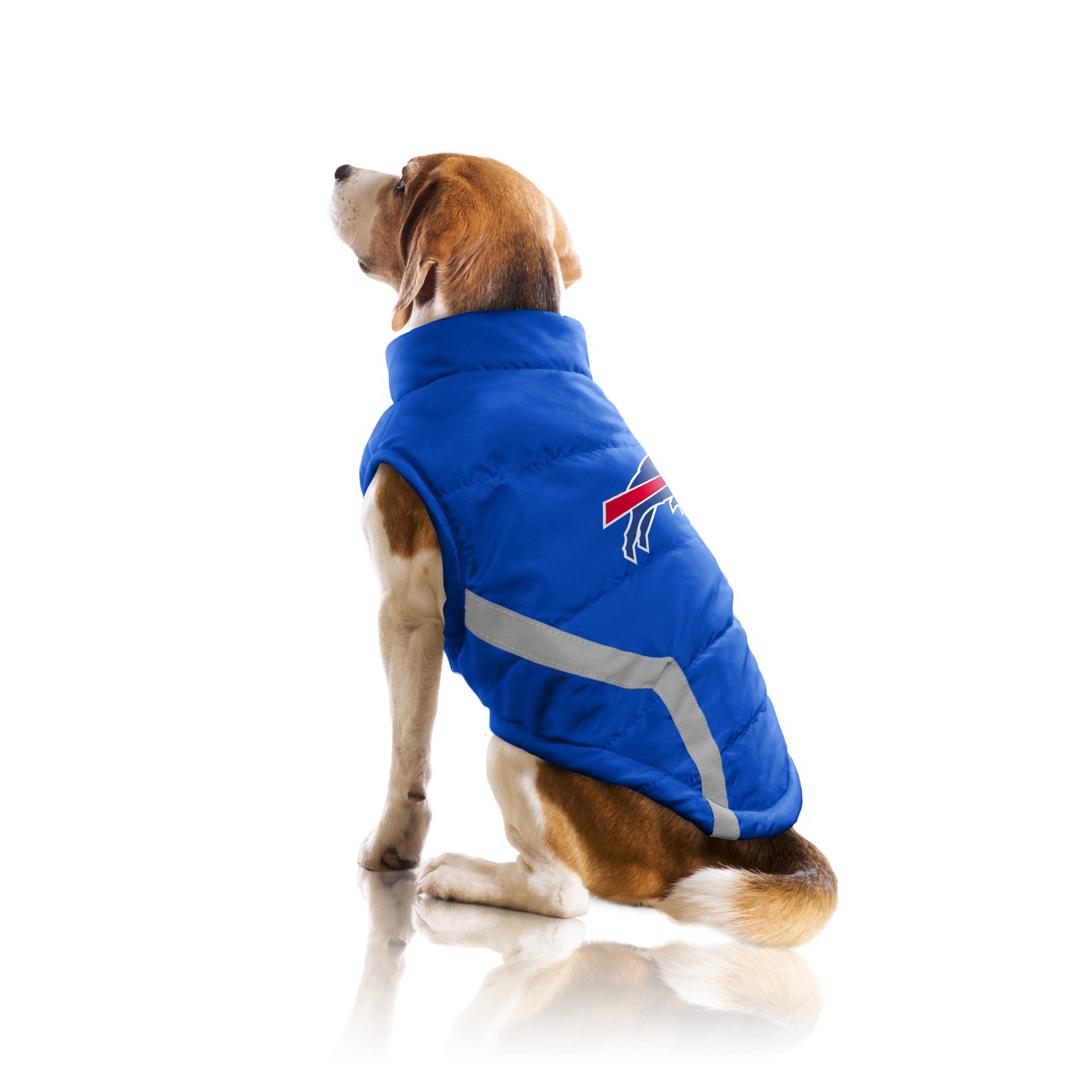 buffalo bills dog gear