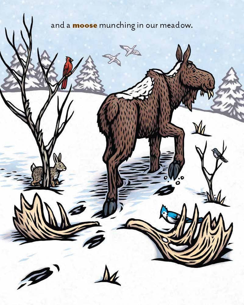 REMOVED BRAND - Wholesale Nature & Outdoors - Twelve Days of Winter: A Wildlife Celebration6