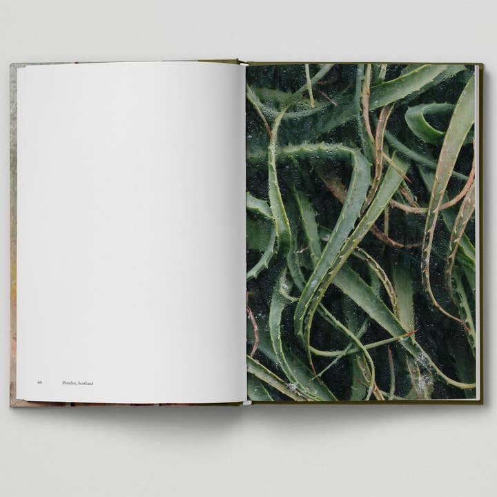 Hoxton Mini Press - Wholesale Display Book - Botanical (Book 6: Tales from the City)7