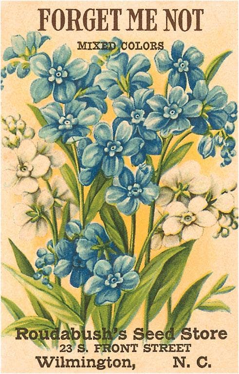 Found Image Press - Wholesale Art Print - Art Print GD-25 Forget Me Not Seed Packet0