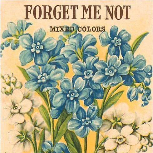 Found Image Press - Wholesale Art Print - Art Print GD-25 Forget Me Not Seed Packet0