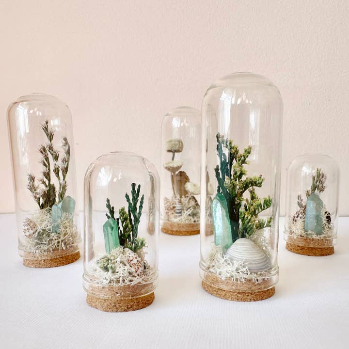 CA Studios - Wholesale Terrarium - Beach Mix Mini Terrarium Crystal Ocean Curiosity Jar1