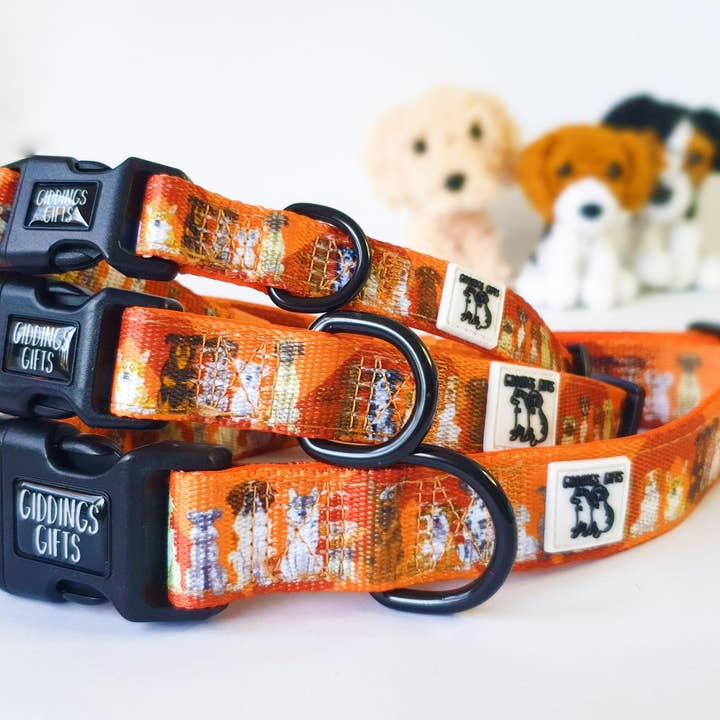 Giddings Gifts - Wholesale Pet collar – Dog - All Dogs' Dog Collar2