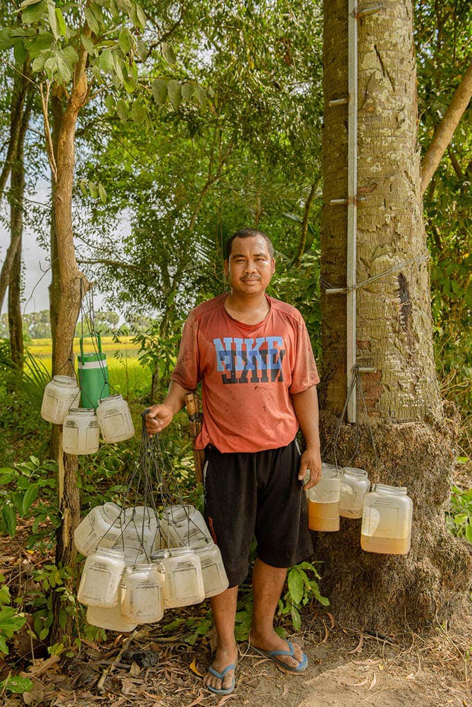 Vân Vân - Wholesale Sugar/Sweetener - Palmyra Sugar5