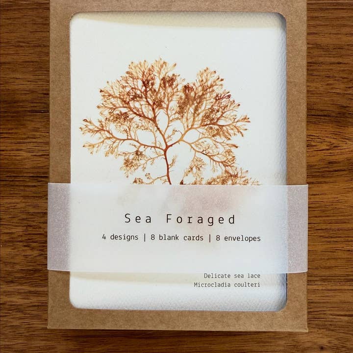 Cueilli en mer : ensemble de 8 cartes pour la vente par Coasting Supplies