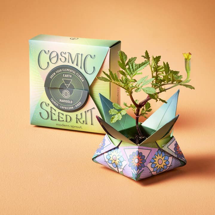 Modern Sprout - Wholesale Plant Seeds - Cosmic Seed Kit