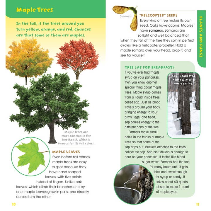 Simon & Schuster - Wholesale Nature & Outdoors - Walk in the Woods by Emily Laber-Warren6