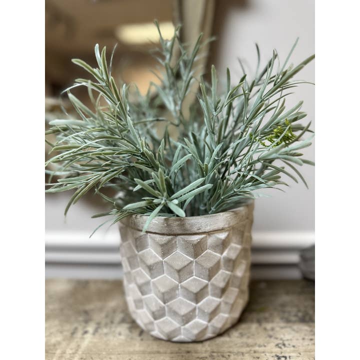 Vagabond Vintage - Wholesale Plant Pot - Geometric Cement Planter1