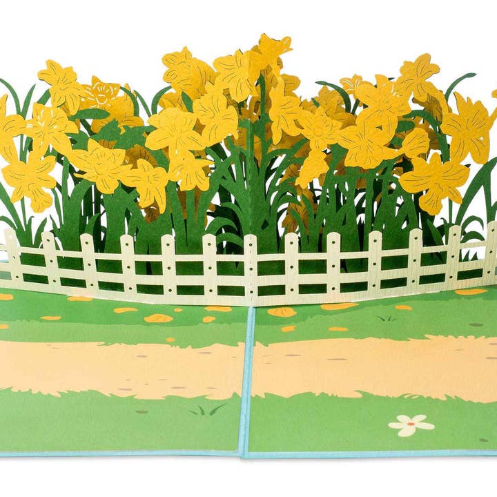 Paper Love - Wholesale Everyday greeting card - Daffodil Garden Pop Up Card2