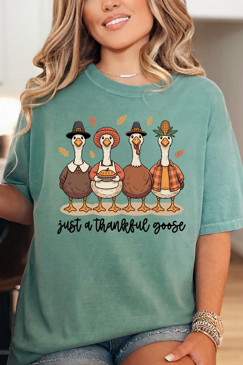 Wholesale Accessory Market - Wholesale Screen Printed T-Shirt - Women's - Just A Thankful Goose Comfort Colors Adult Ring-Spun Cotton Tee8