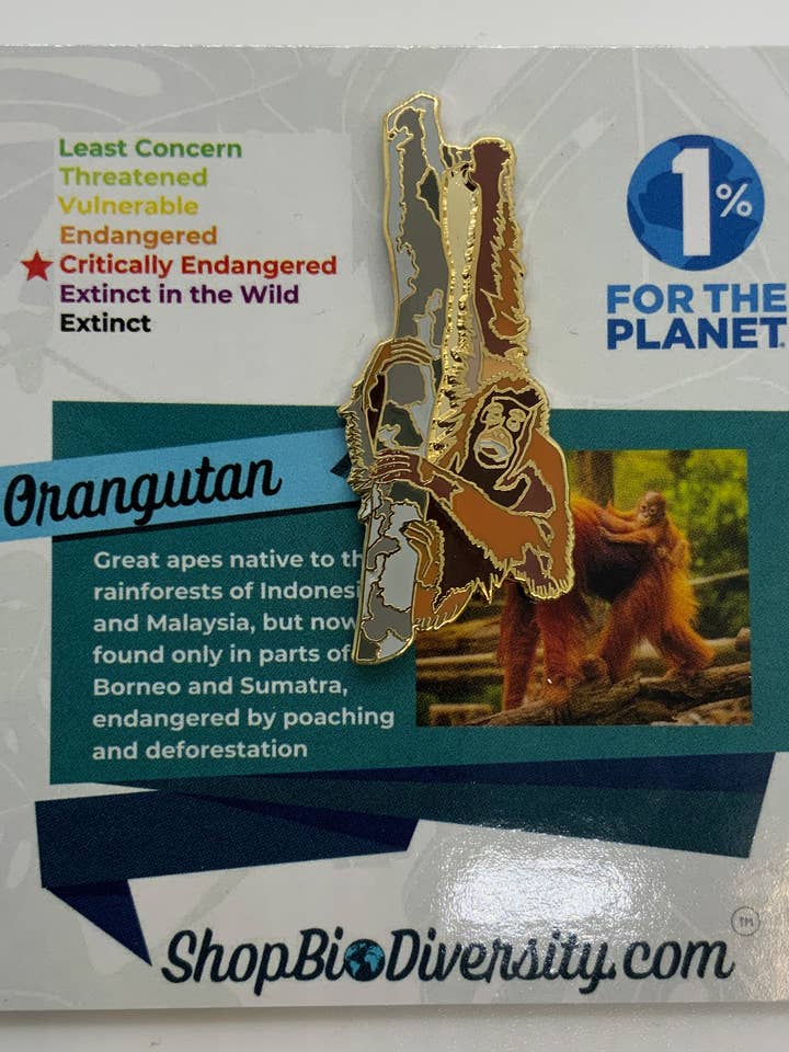 Pino de Esmalte de Orangotango - Presente de Arte de Vida Selvagem em Perigo por atacado de Shop BioDiversity