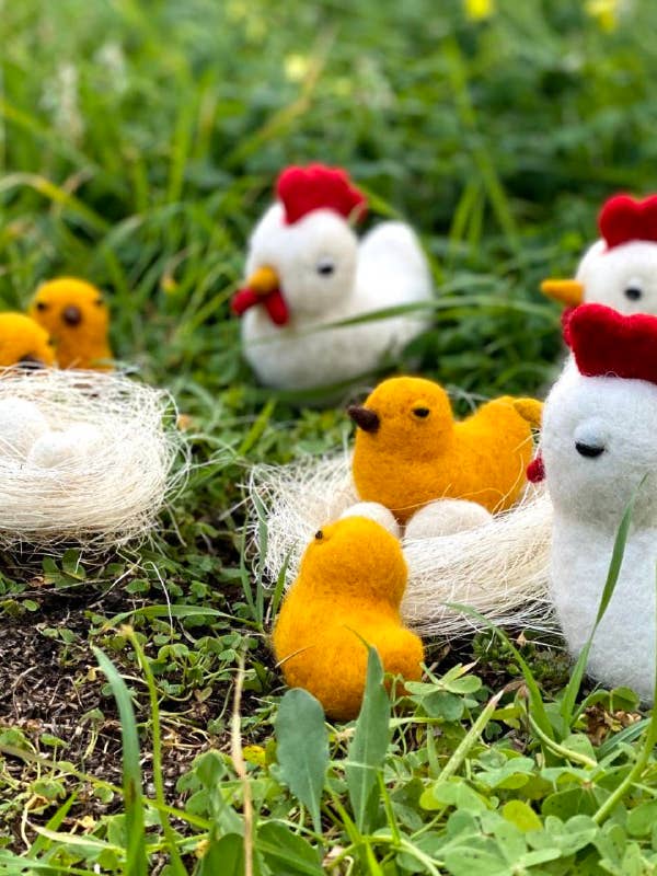 Poulet Turuleta pour la vente par Adopta un hada