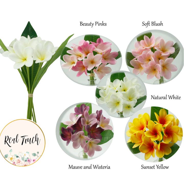 Angel Isabella - Wholesale Artificial Flowers - 10Stems Bundle-Ultra Realistic Tropical Plumeria Frangipani