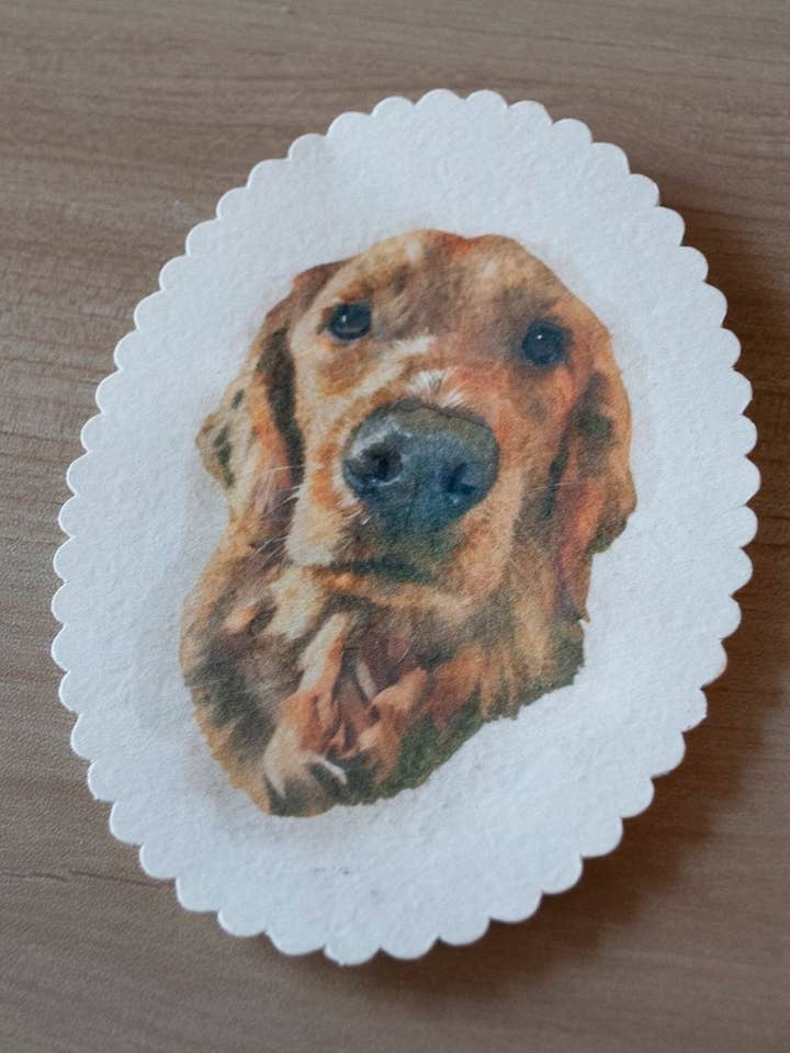 Scallop Oval Watercolor Digital Portrait (4Bar Size) for wholesale by Ramsaydigitals