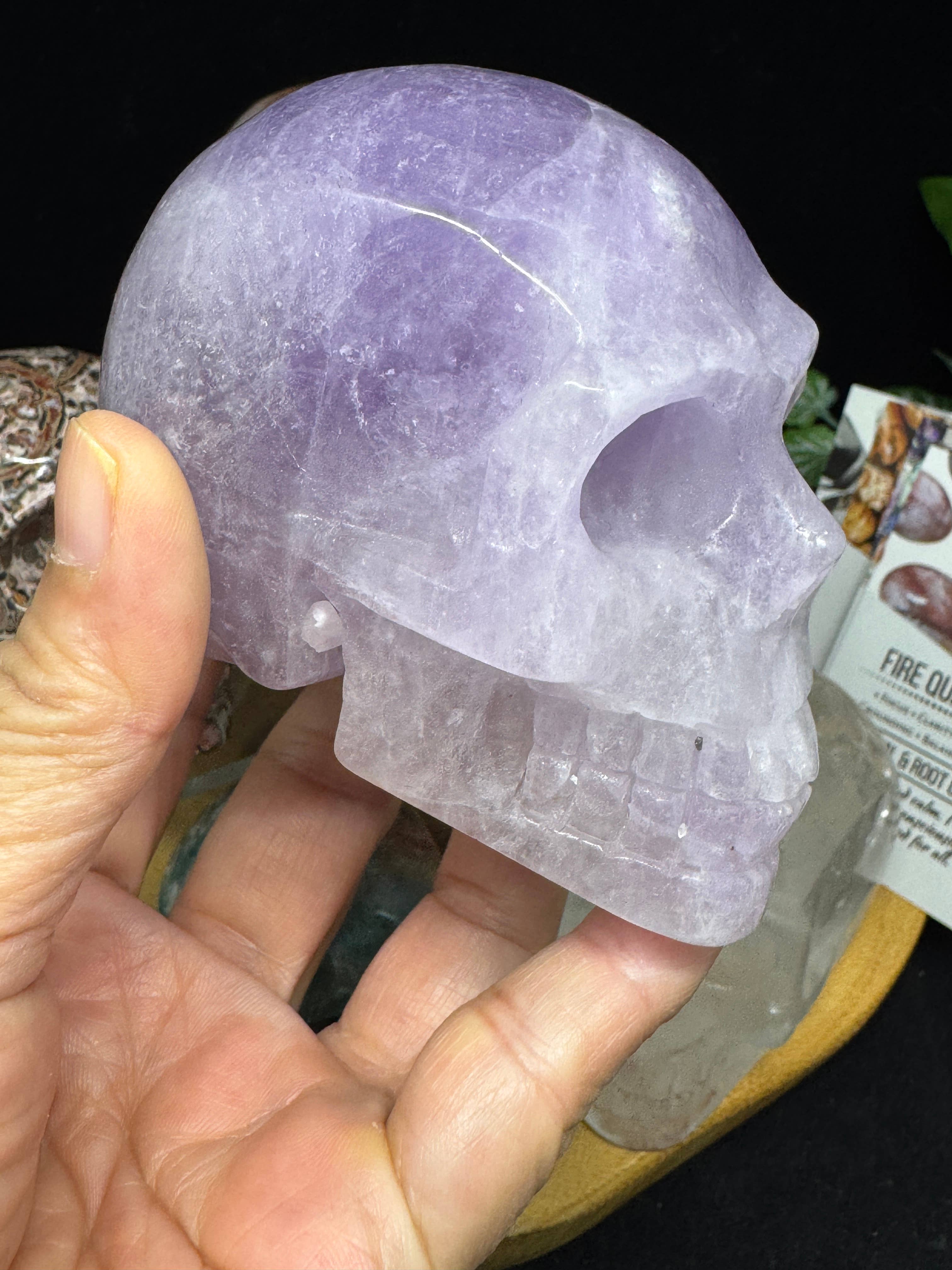 The 7 Directions - Wholesale Spiritual Stone/Crystal - 6 pc Ocean Jasper Leopardite fire quartz skull bundle G80512