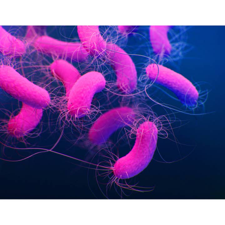 Art de cabinet médical - Gros plan d'une cellule sanguine pour la vente par Queence