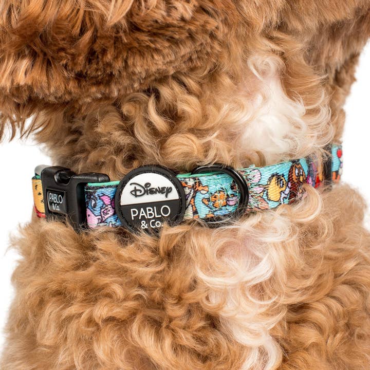 Pablo & Co. Boutique - Wholesale Pet Collar - Dog - Winnie the Pooh & Forest Friends: Dog Collar