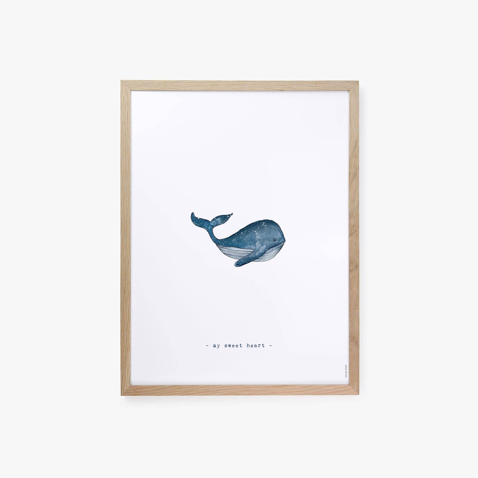 Cotton Bird - Vendita all'ingrosso Poster - Locandina Cachalot 12