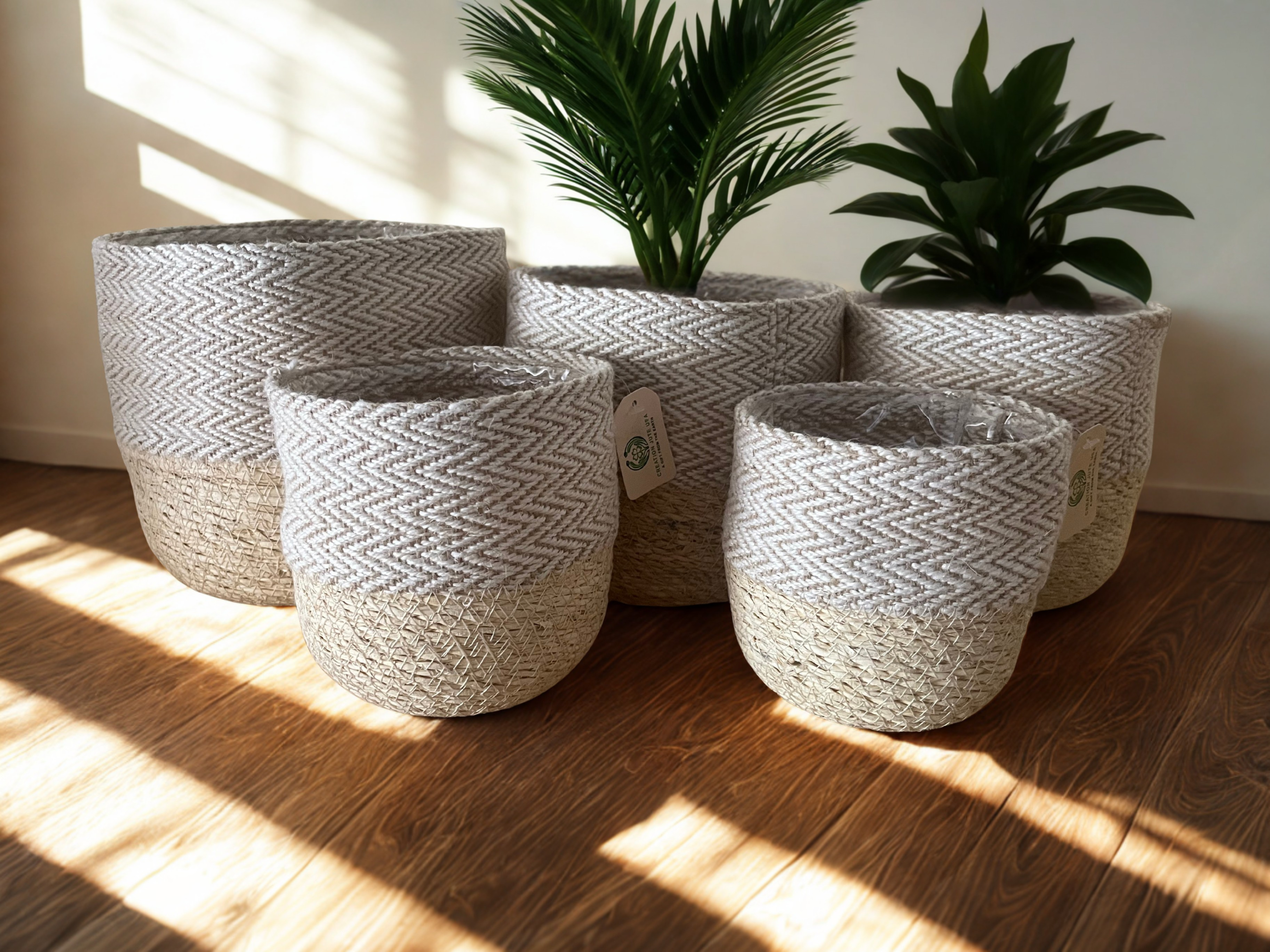 Creation Jute USA - Wholesale Plant Pot - HANDLOOM Ivory Jute Basket Planter (set of 5)0