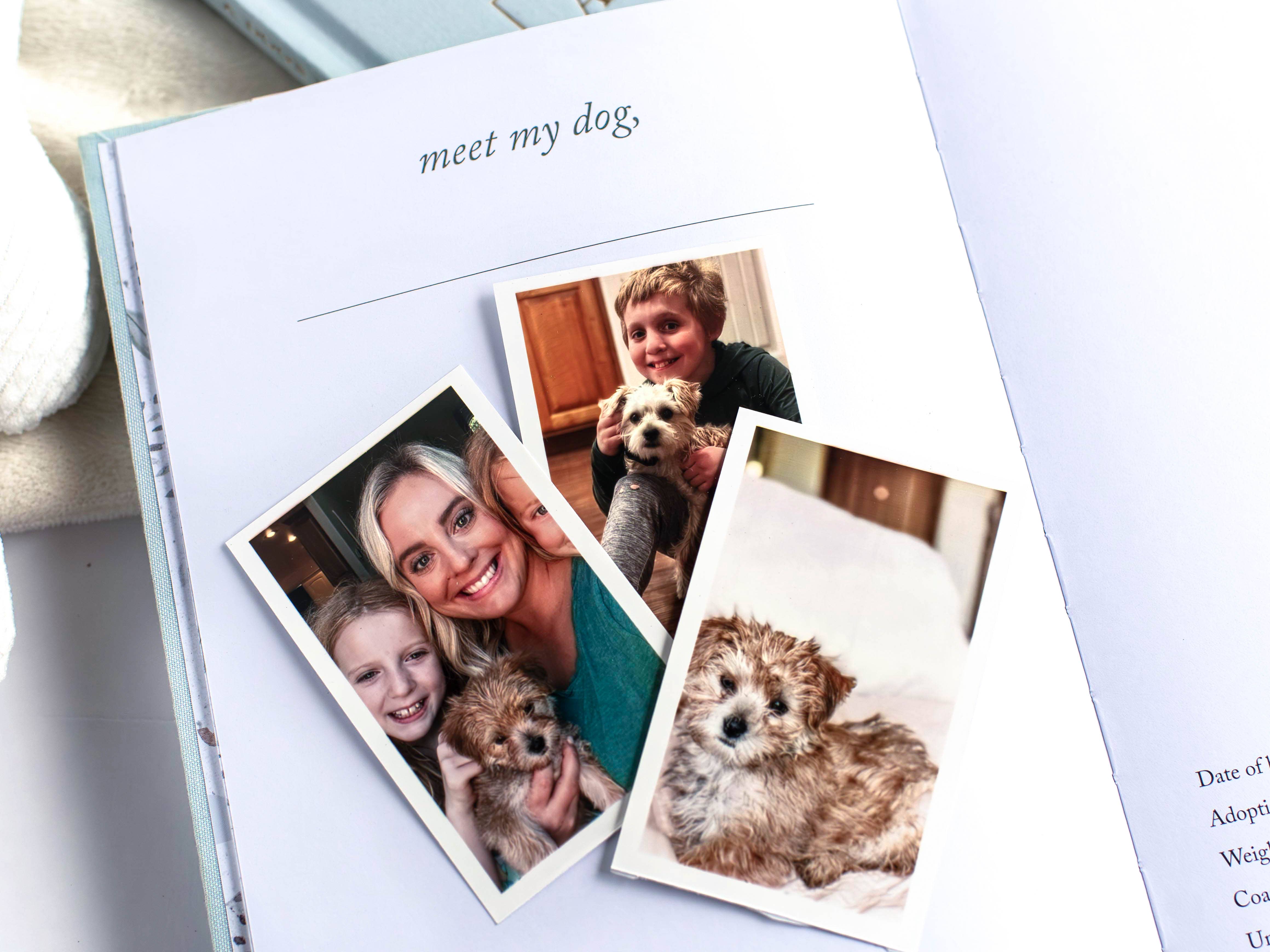 Duncan & Stone Paper Co. – wholesale Journal/diary – Dog Memory Book and Puppy Keepsake Journal | Perfect Gift4
