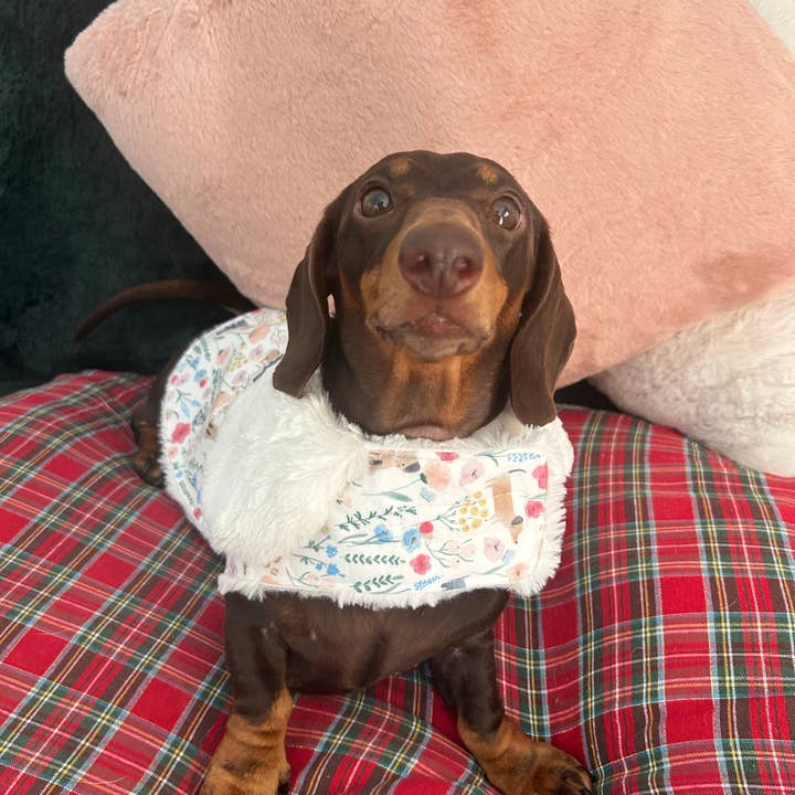 Puppies & Pom Poms - Wholesale Pet Coat - Dog - Meadow Dachshunds Fluffy Handmade Reversible Coat15