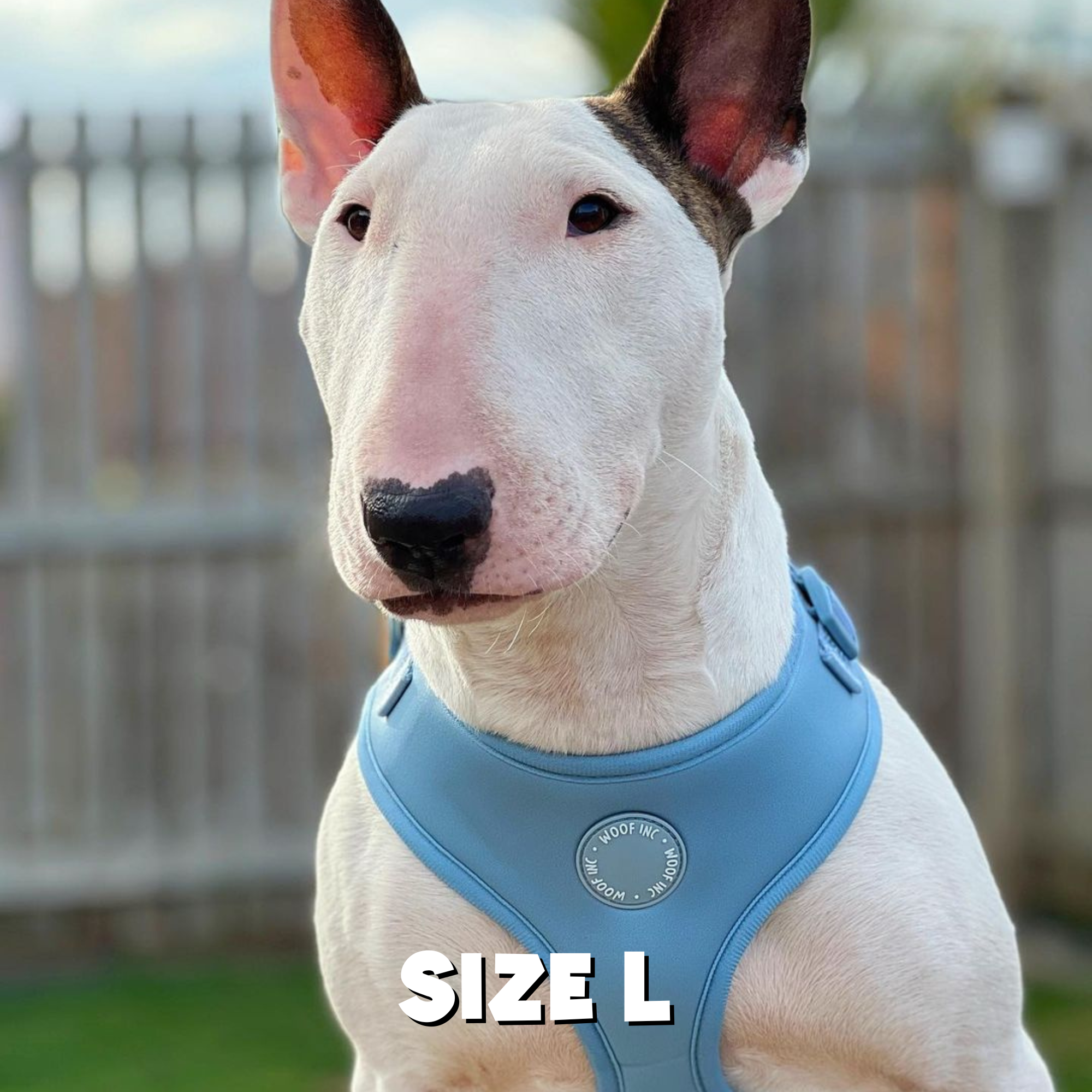 WOOF INC - Wholesale Pet Harness - Dog - Dusty Blue Adjustable Dog Harness7