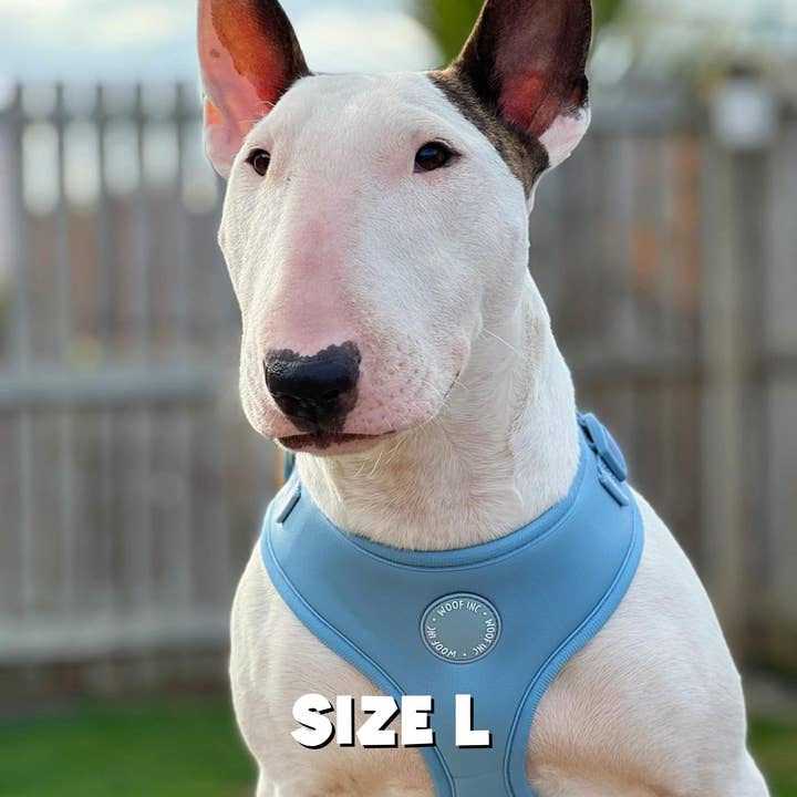 WOOF INC - Wholesale Pet Harness - Dog - Dusty Blue Adjustable Dog Harness7