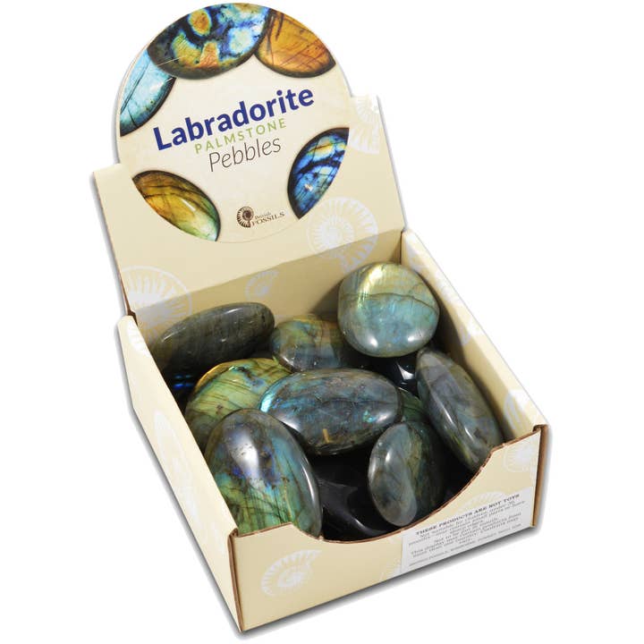 Labradorite Palmstones (Display of 15) for wholesale by Science and Nature