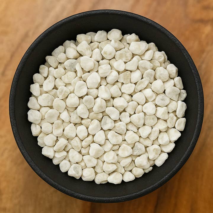 Pezzi di Conchiglia di Ostrica (Ostrea Spp.) per la vendita all'ingrosso da parte di LA Herb