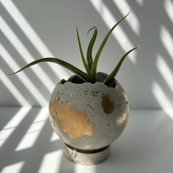 Fancy Concrete - Wholesale Plant Pot - Mini-Moon 3” Pot | Sphere Planter | Ball Concrete Planter