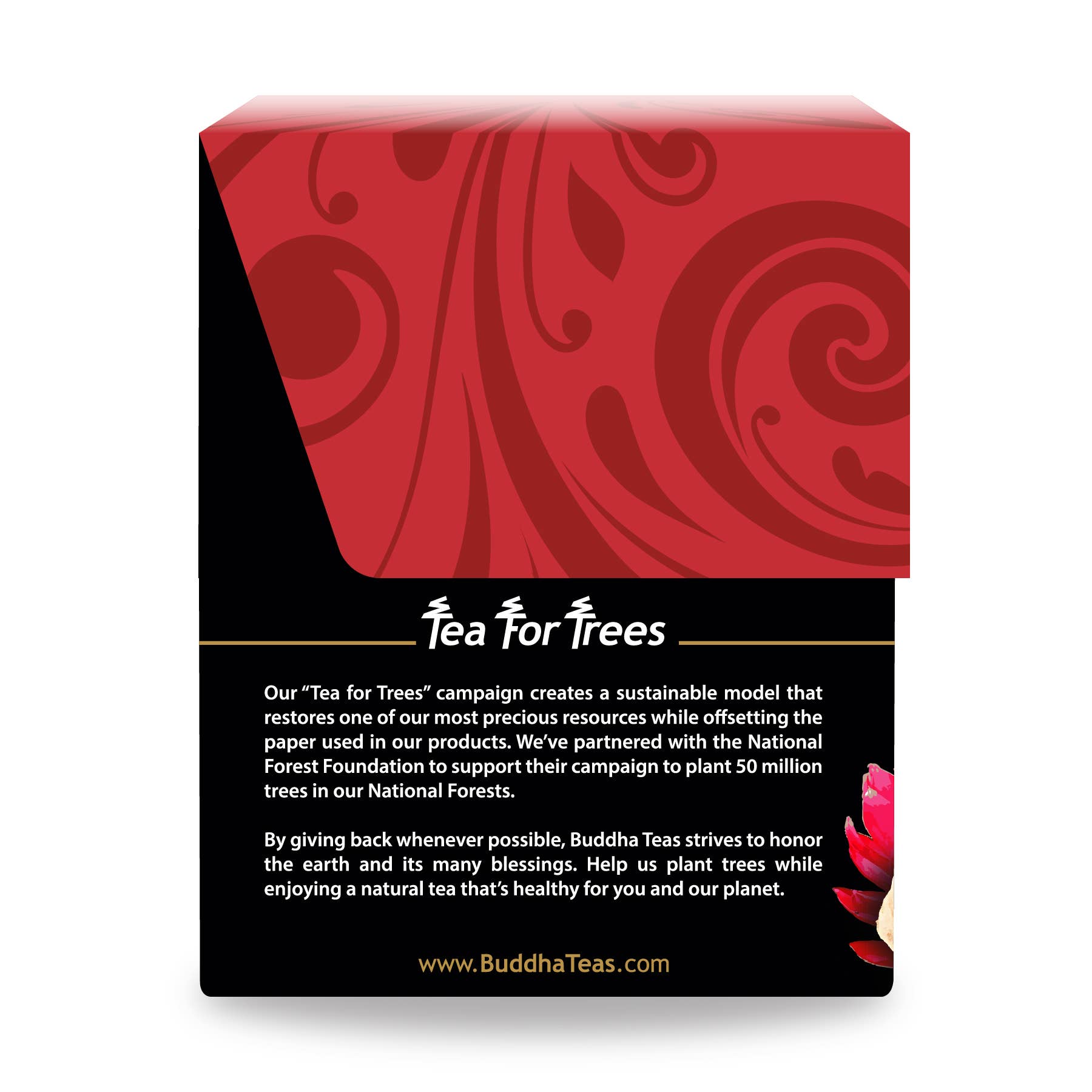 Buddha Teas - Wholesale Health/Detox Tea - Ginger Root Tea5