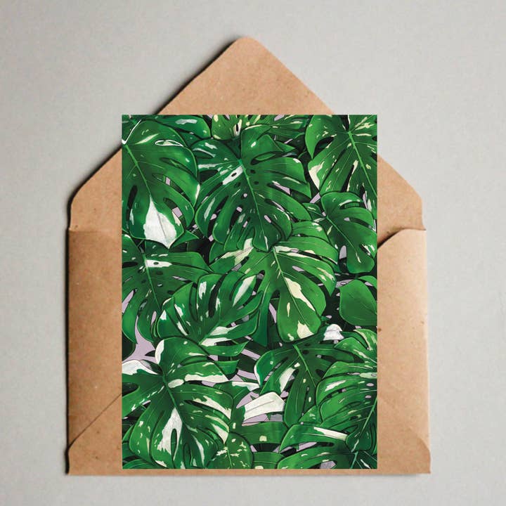 Postcard/A6 print - Monstera deliciosa leaves for wholesale by plantyintroverts