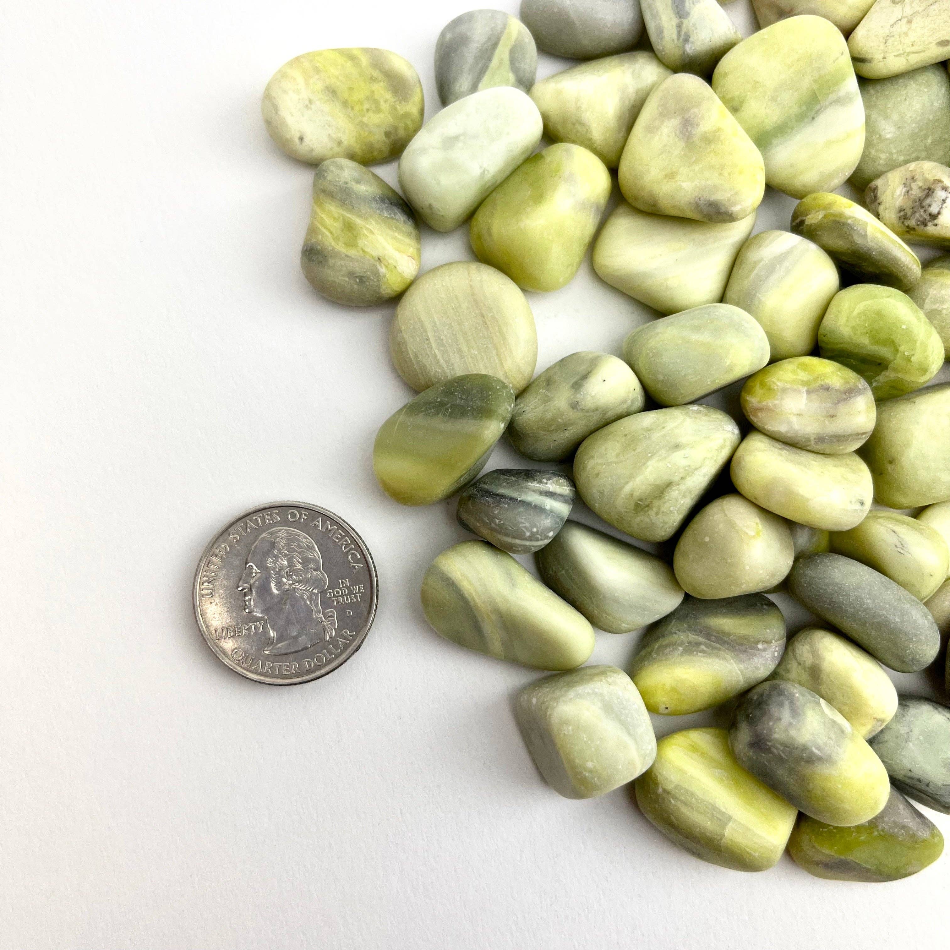 Pelham Grayson Rose - Vendita all'ingrosso Pietra/cristallo spirituale - VENDITA! Infinite Serpentine | Burattato | 15-20 mm | 1 libbra | India1