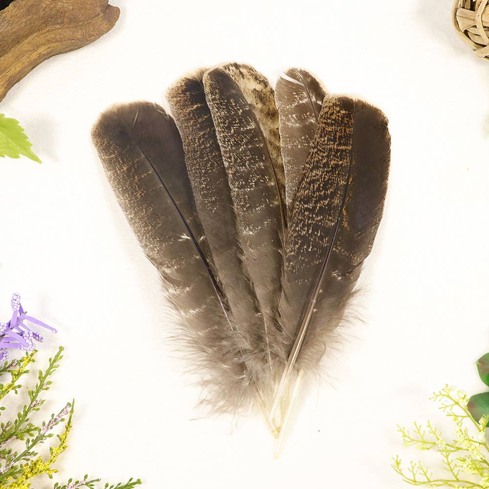 Natures Artifacts Inc - Wholesale Sage Bundle - Smudging Turkey Feather2