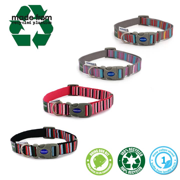 Grande striscia di caramelle realizzata con colletto: rosa o arancione per la vendita all'ingrosso da parte di Ancol Pet Products Ltd