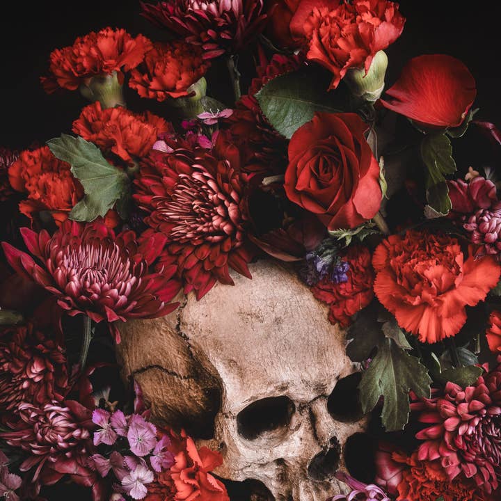 Alyssa Thorne - Wholesale Art Print - Sunset In Death's Garden | Art Print | Gothic Still Life