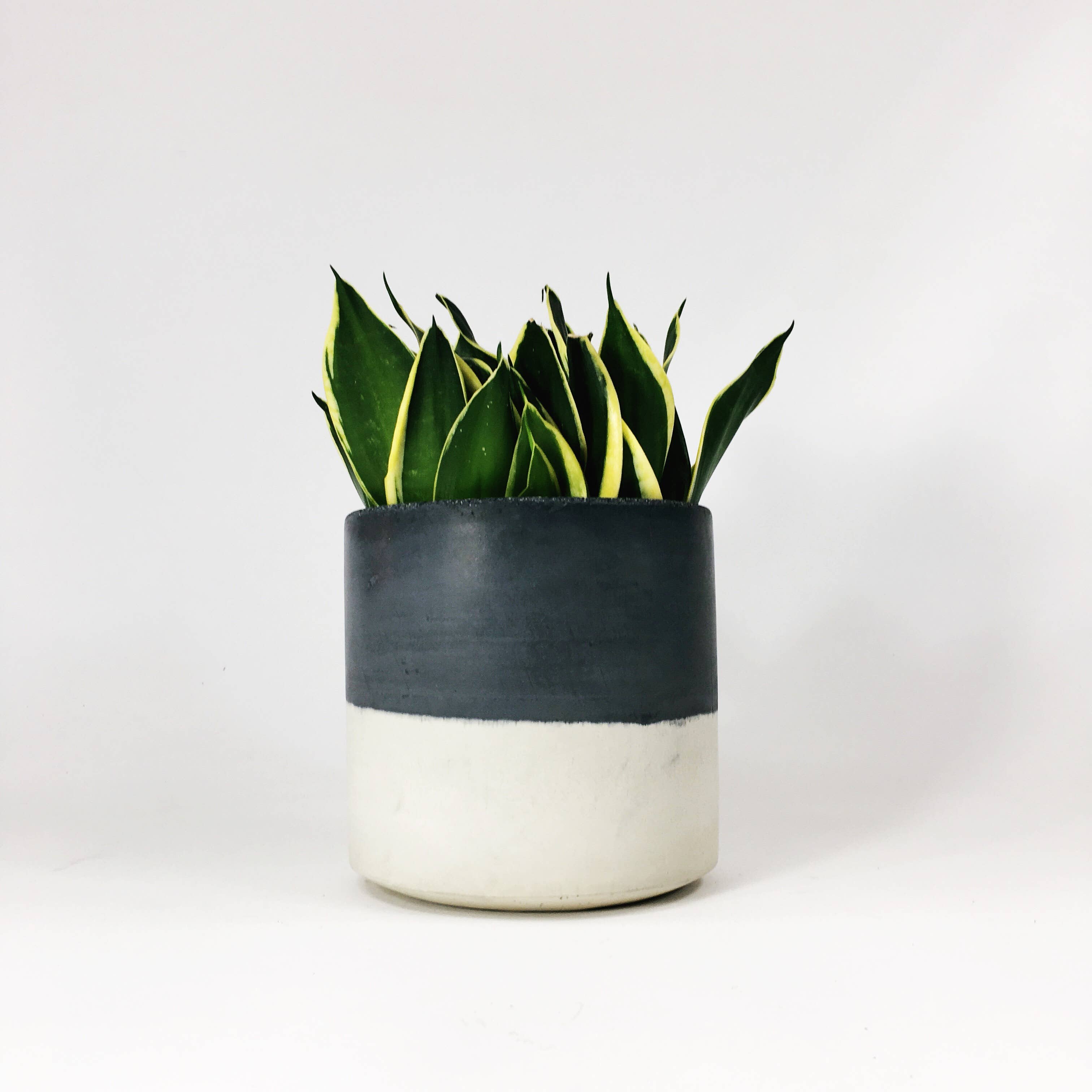 Settlewell - Wholesale Plant Pot - 6" Straight Sided Concrete Pot /  17 Colors5
