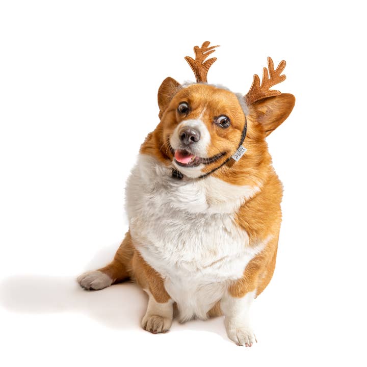 Midlee Designs - Wholesale Pet Costume - Dog - Midlee Furry Antlers Headband Halloween Dog Costume