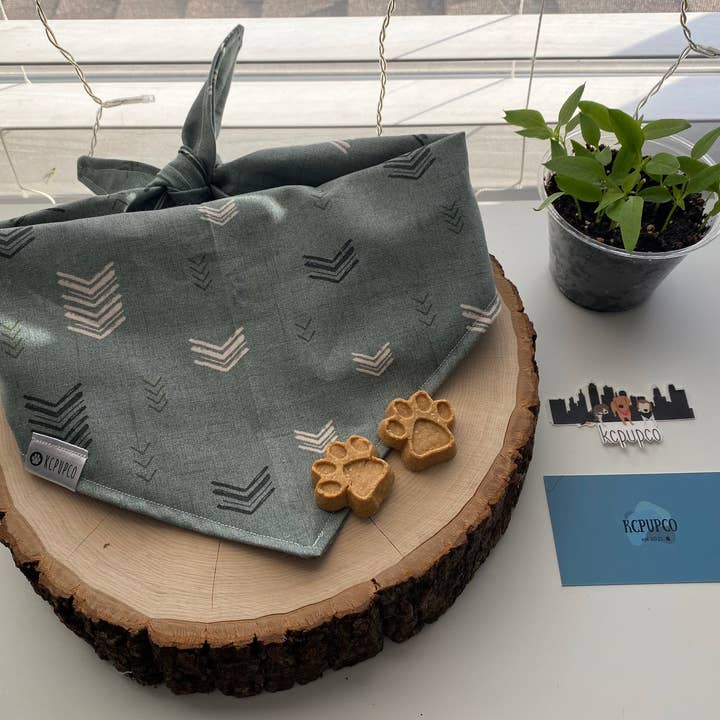 Maddox Bandana | Bandana à nouer en coton vert clair avec flèches noires et crème pour la vente par kcpupco