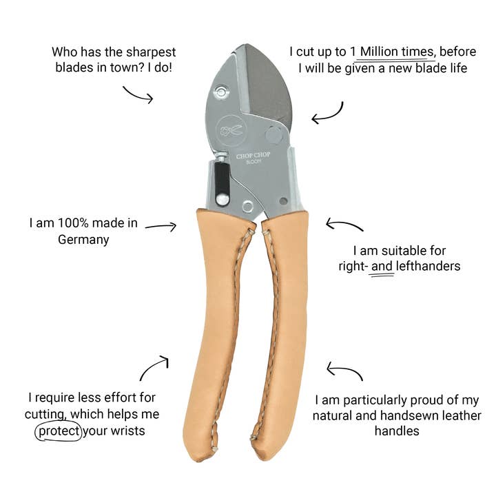 Douce Marguerite pour la vente par Chop Chop Bloom