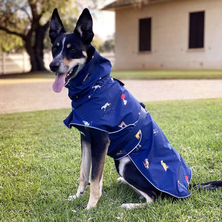 Stylish Hound - Wholesale Pet Raincoat - Dog - Dog Raincoat13