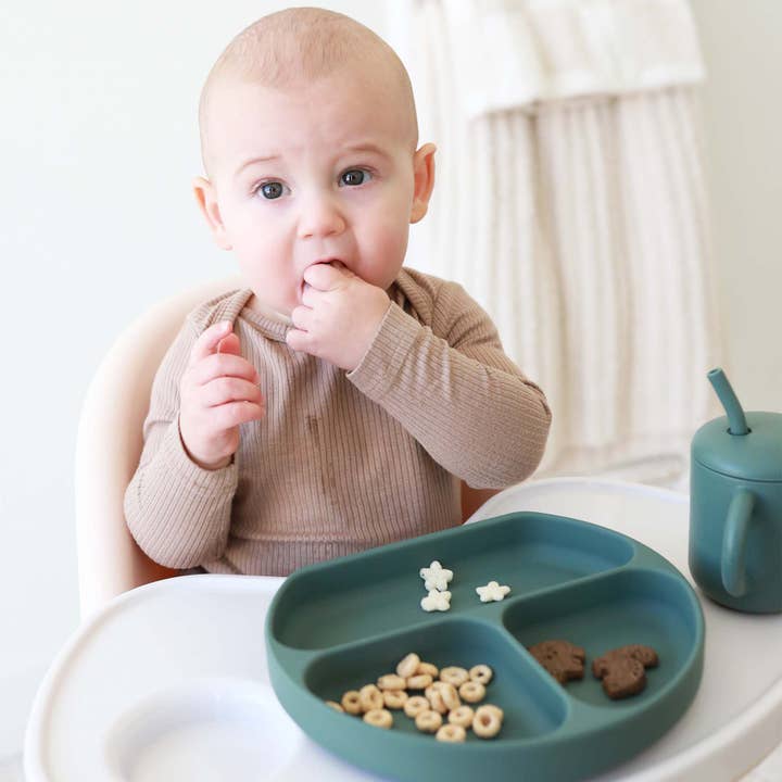 Caden Lane - Wholesale Dinner Plate - Kids & Baby - Silicone Suction Plate12