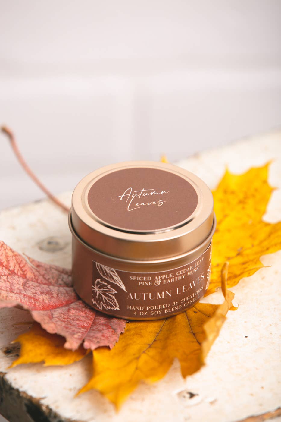 Freedom Studios - Wholesale Travel Candles - Autumn Leaves 4 oz Candle4