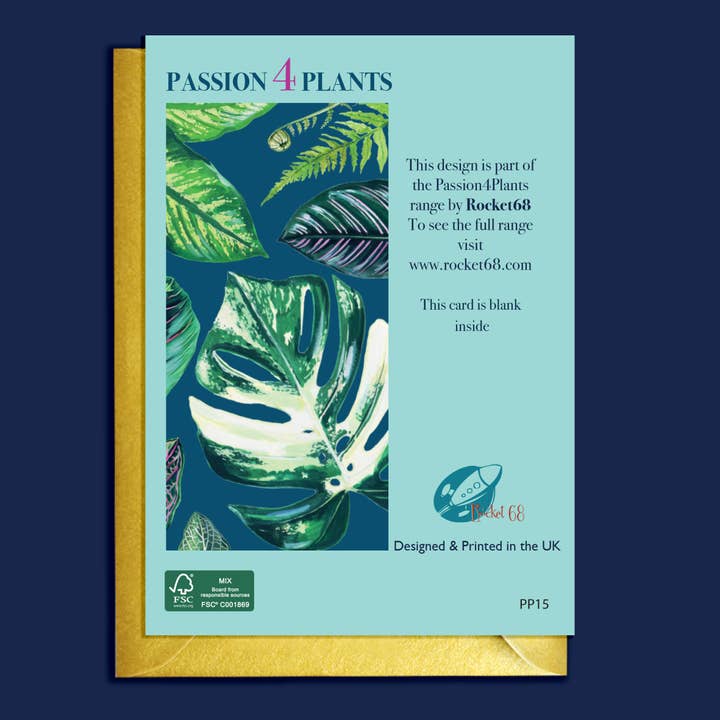Rocket 68 - Wholesale Everyday Greeting Card - Pretty Mixed Houseplants Card2